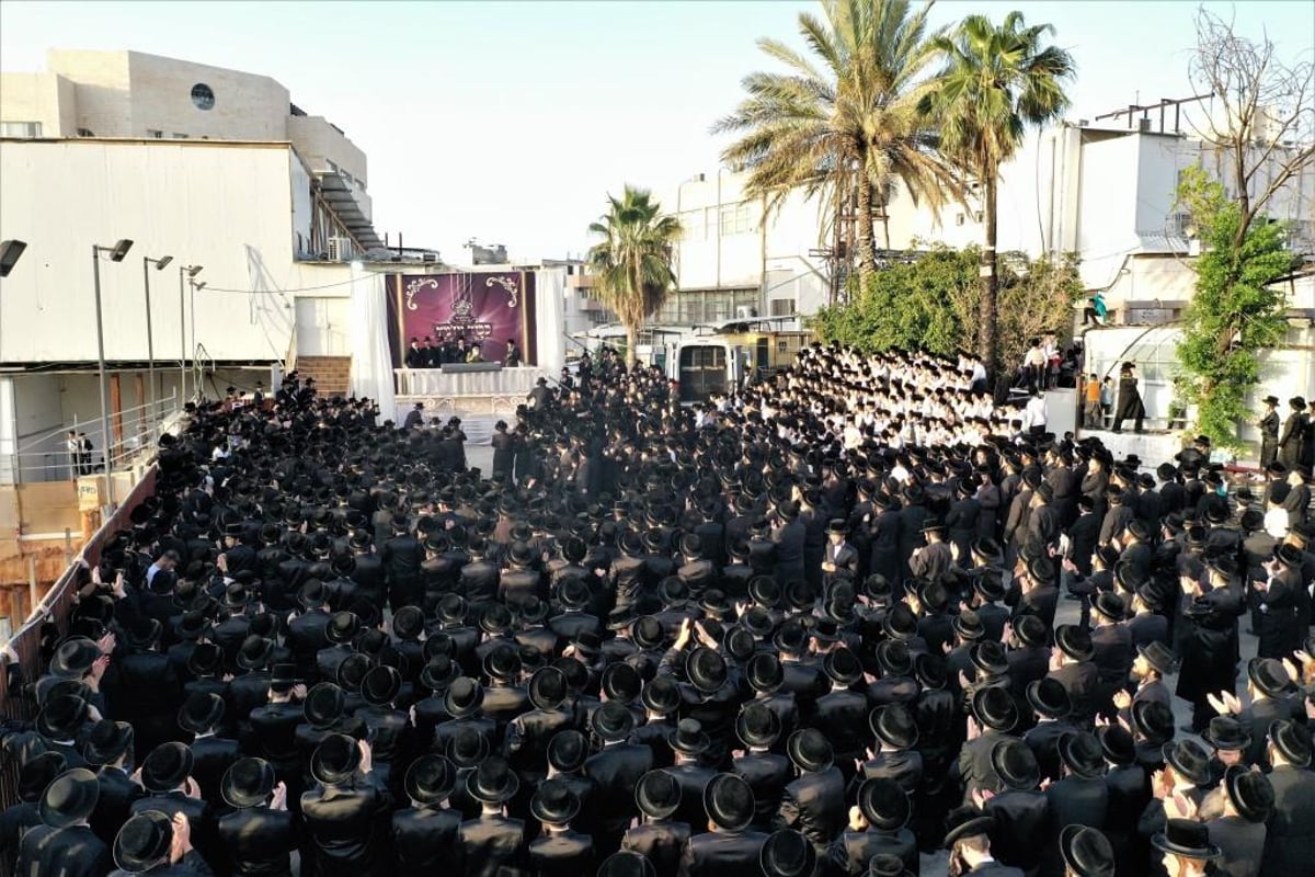 ויז'ניץ חגגה את בואו של הנגיד ר' חיים שטרן | תיעוד נרחב