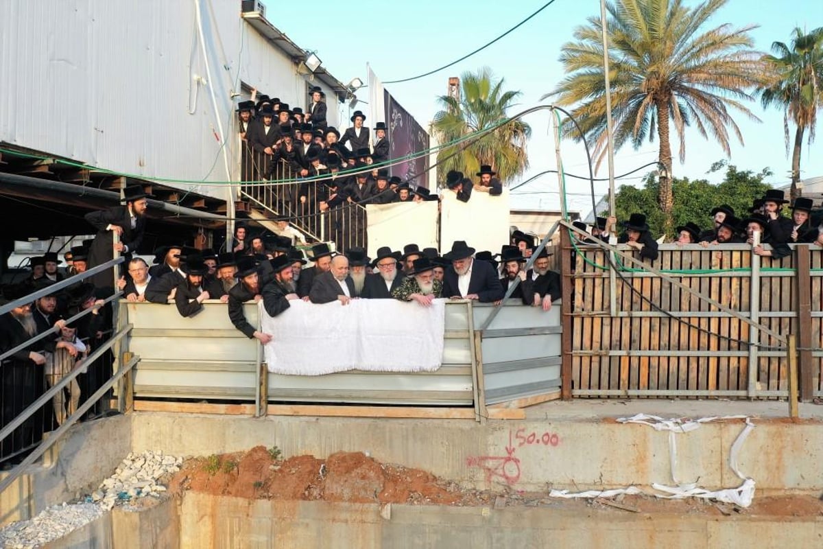 ויז'ניץ חגגה את בואו של הנגיד ר' חיים שטרן | תיעוד נרחב