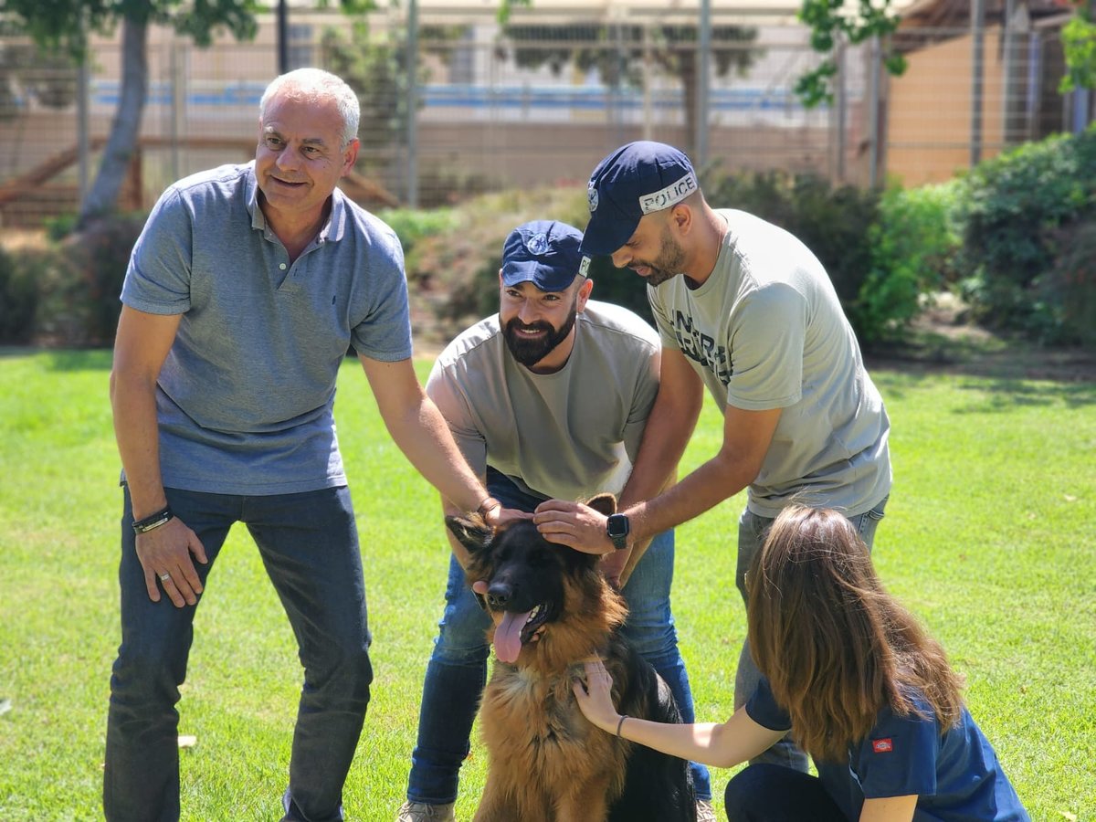 מאמץ את הכלב