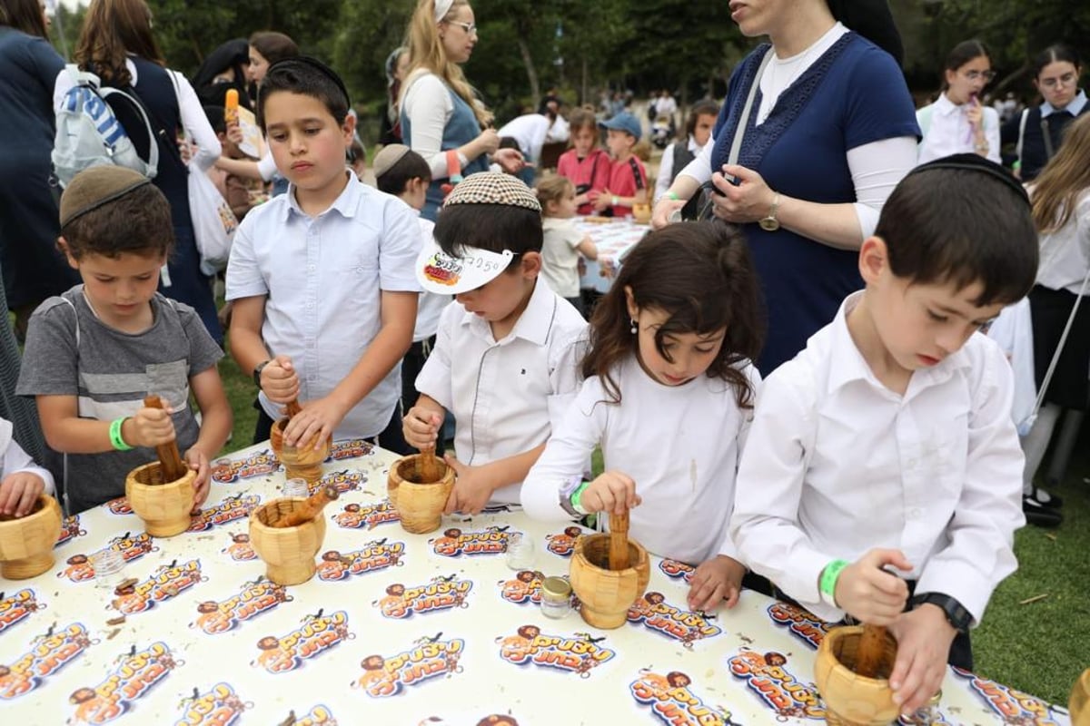 ילדי הצהרונים בירושלים חגגו ביום של הפעלות וכיף בתנכ"י