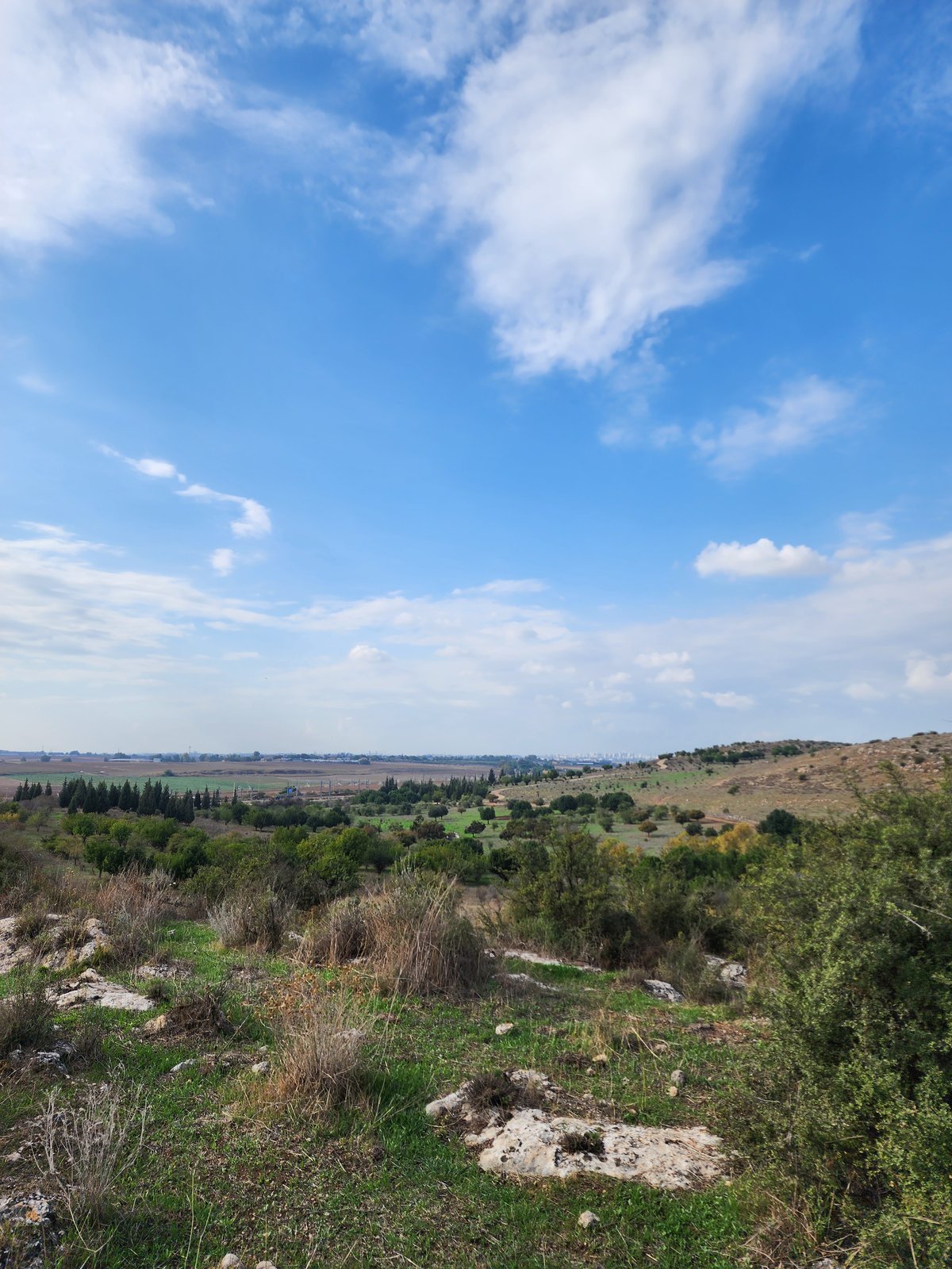 שרידי 'כפר טוב' בימינו בסמיכות לעיר מודיעין שבצידה היה לרבי אליעזר כרם