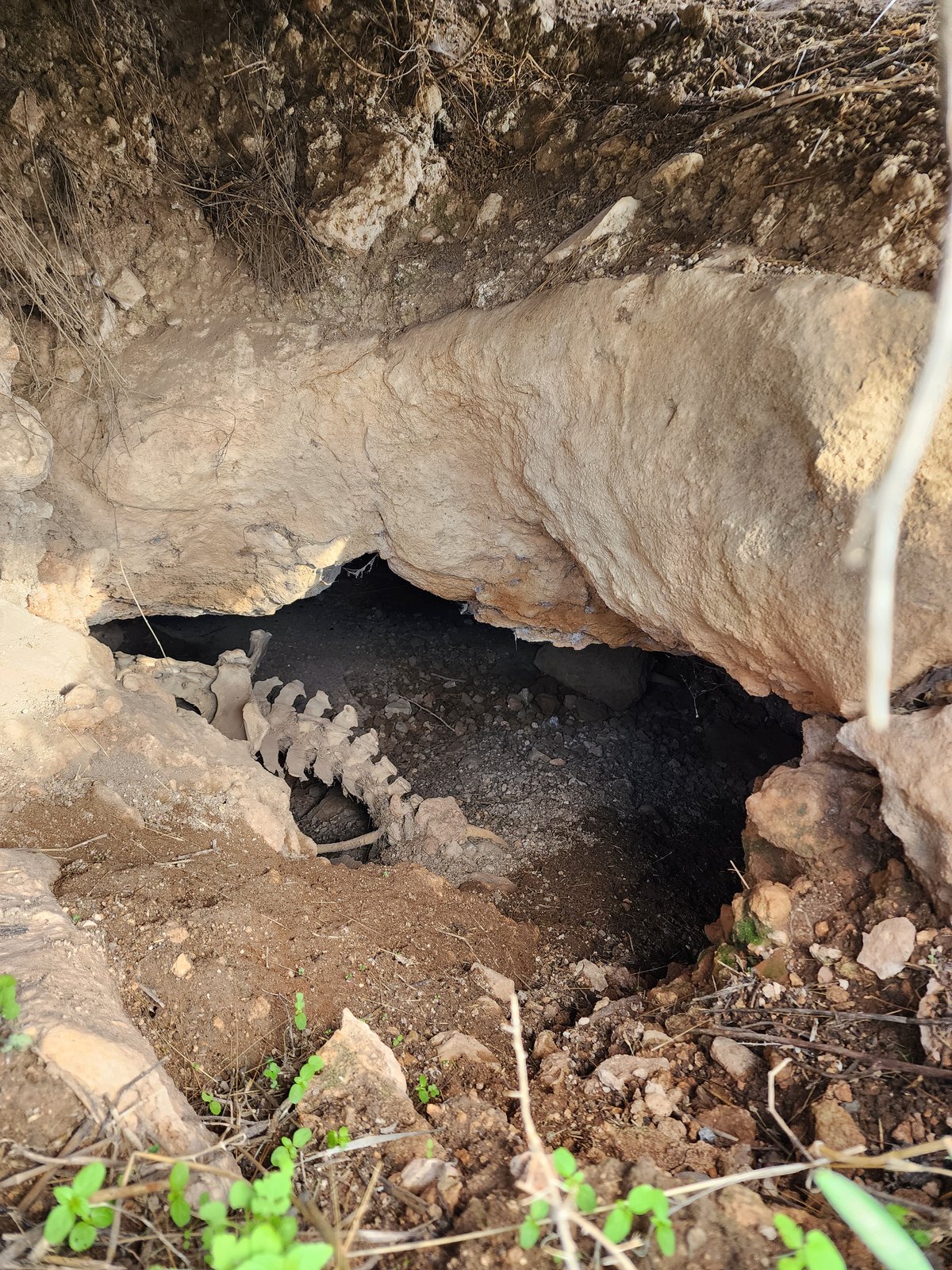 שרידי 'כפר טוב' בימינו בסמיכות לעיר מודיעין שבצידה היה לרבי אליעזר כרם