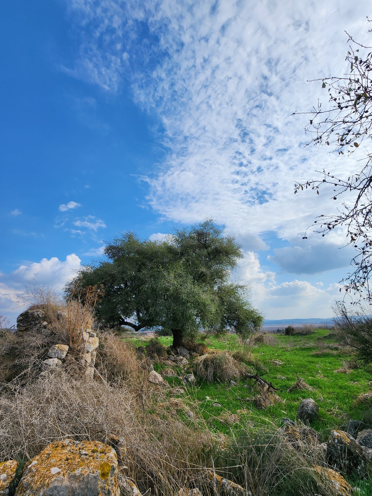 שרידי 'כפר טוב' בימינו בסמיכות לעיר מודיעין שבצידה היה לרבי אליעזר כרם