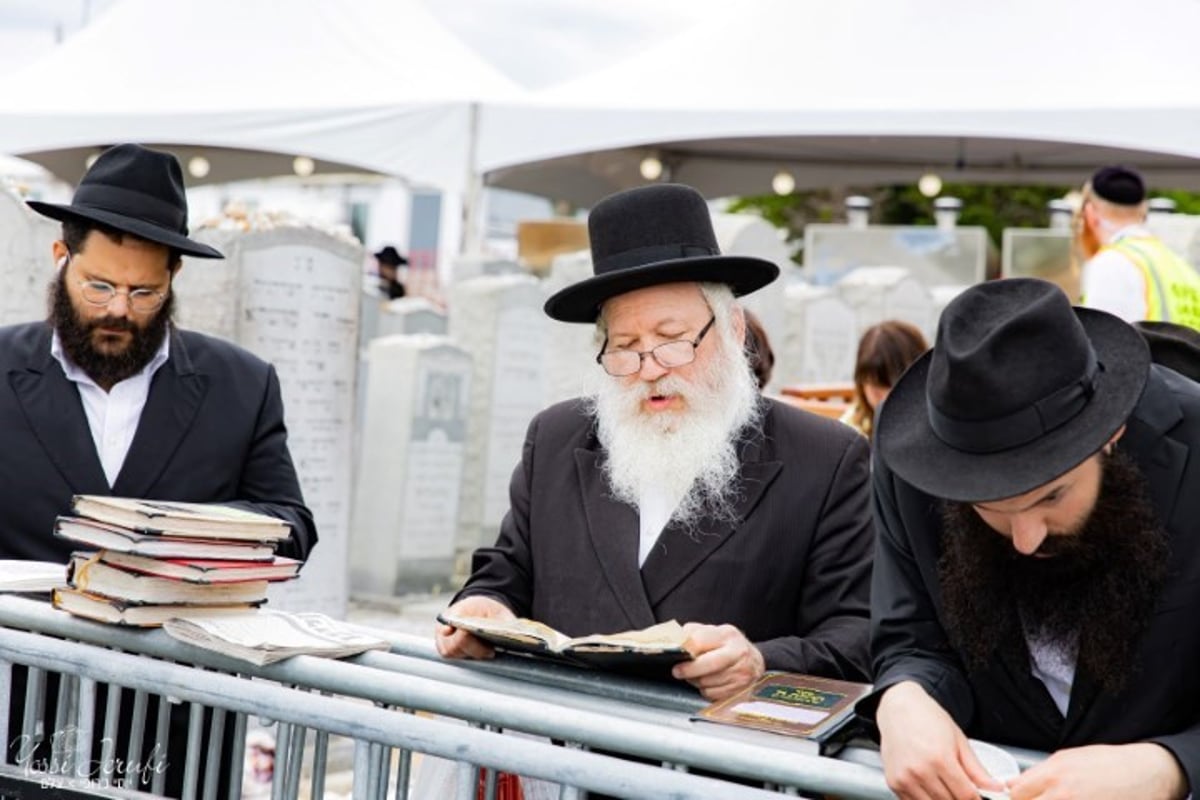 בתפוצות ישראל ציינו את יום ההילולא של הרבי מליובאוויטש זי"ע; המונים עלו לציונו