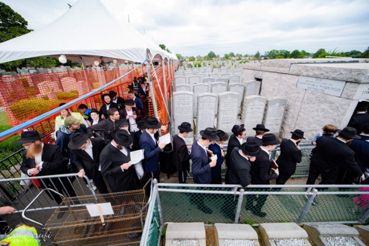 בתפוצות ישראל ציינו את יום ההילולא של הרבי מליובאוויטש זי"ע; המונים עלו לציונו