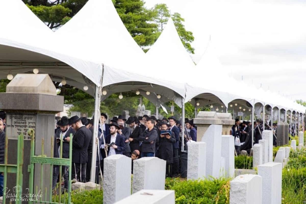 בתפוצות ישראל ציינו את יום ההילולא של הרבי מליובאוויטש זי"ע; המונים עלו לציונו