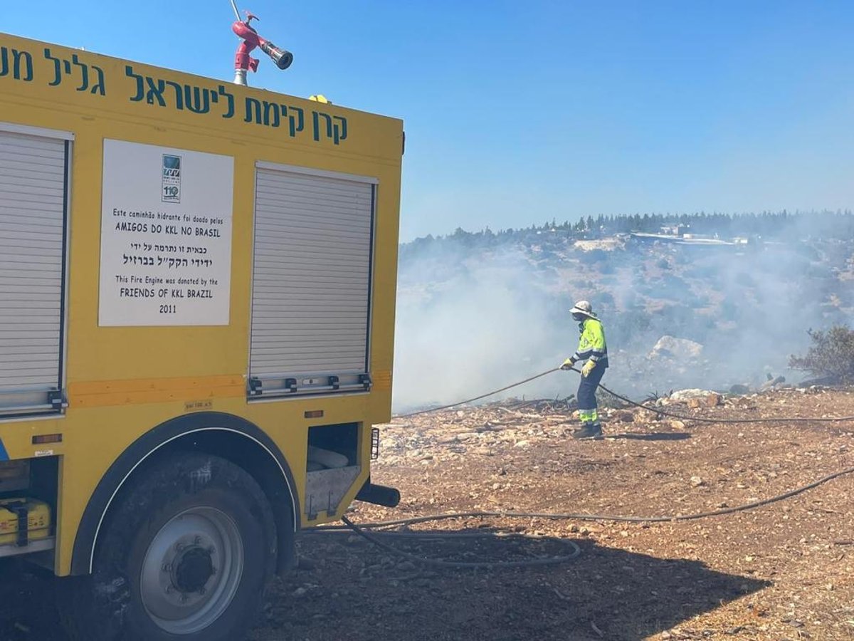 ליד מודיעין עילית ובית שמש: גל של שריפות ביער ובחורשות