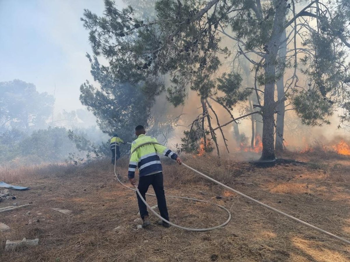 ליד מודיעין עילית ובית שמש: גל של שריפות ביער ובחורשות