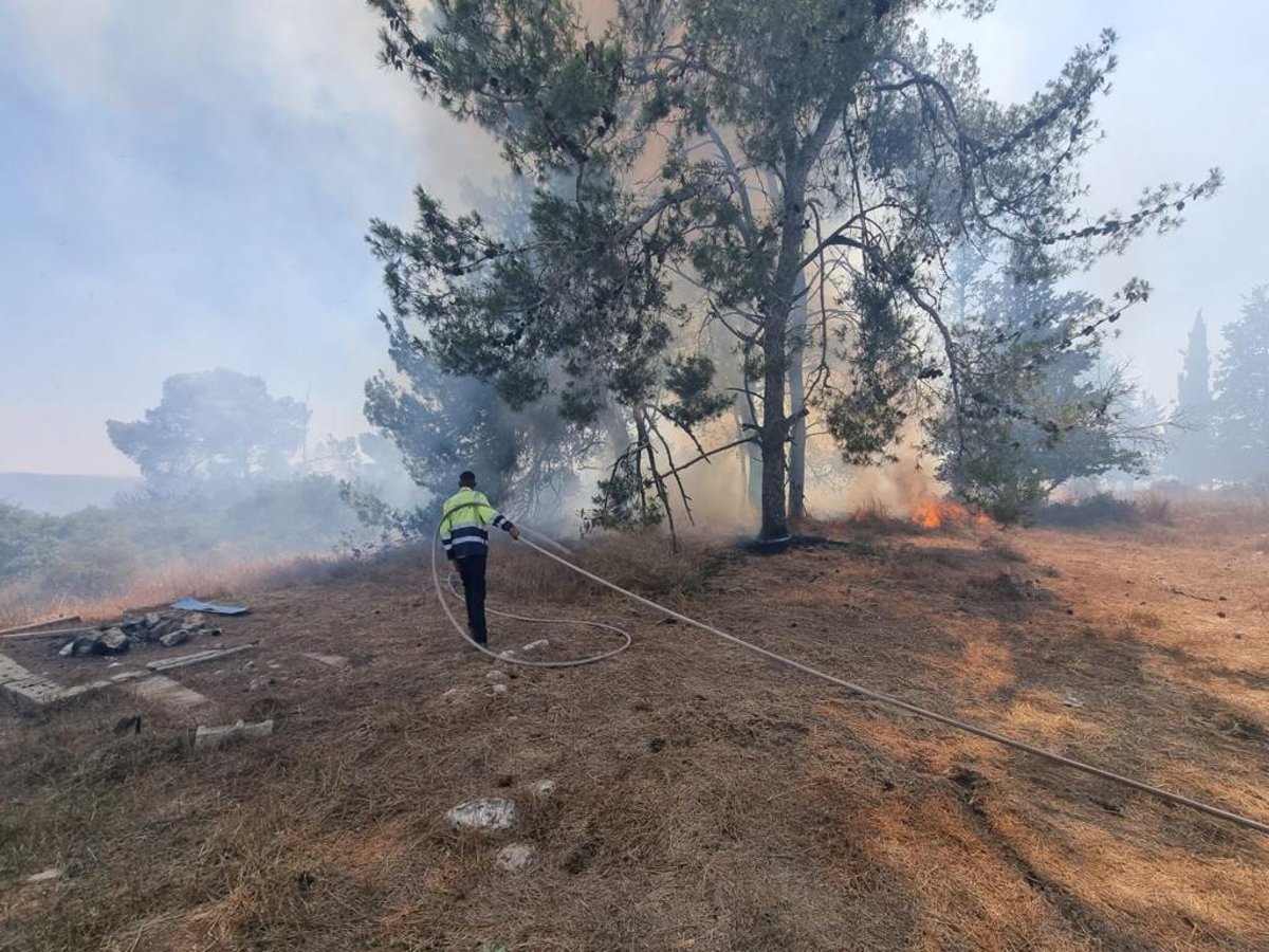 ליד מודיעין עילית ובית שמש: גל של שריפות ביער ובחורשות