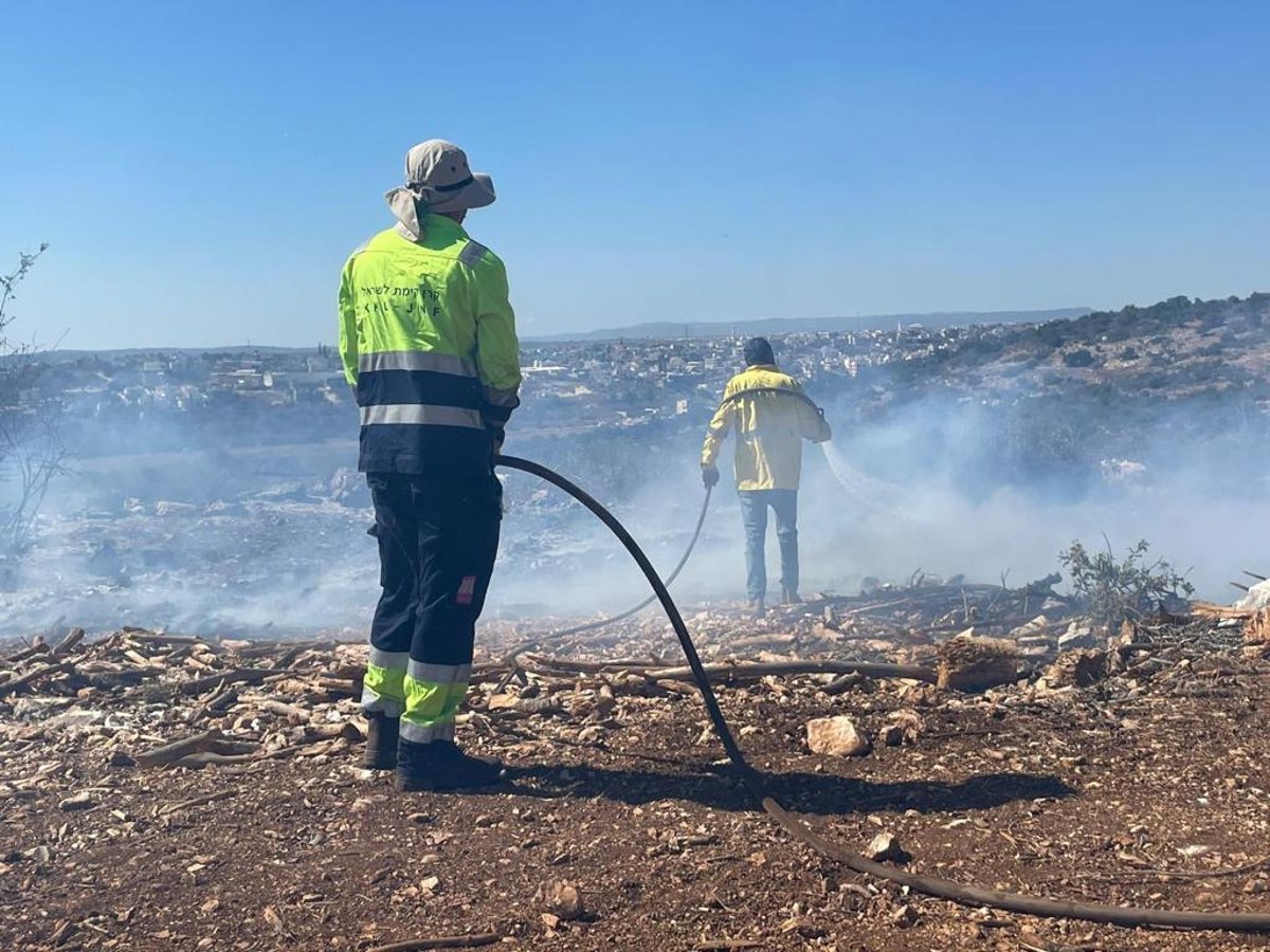 ליד מודיעין עילית ובית שמש: גל של שריפות ביער ובחורשות