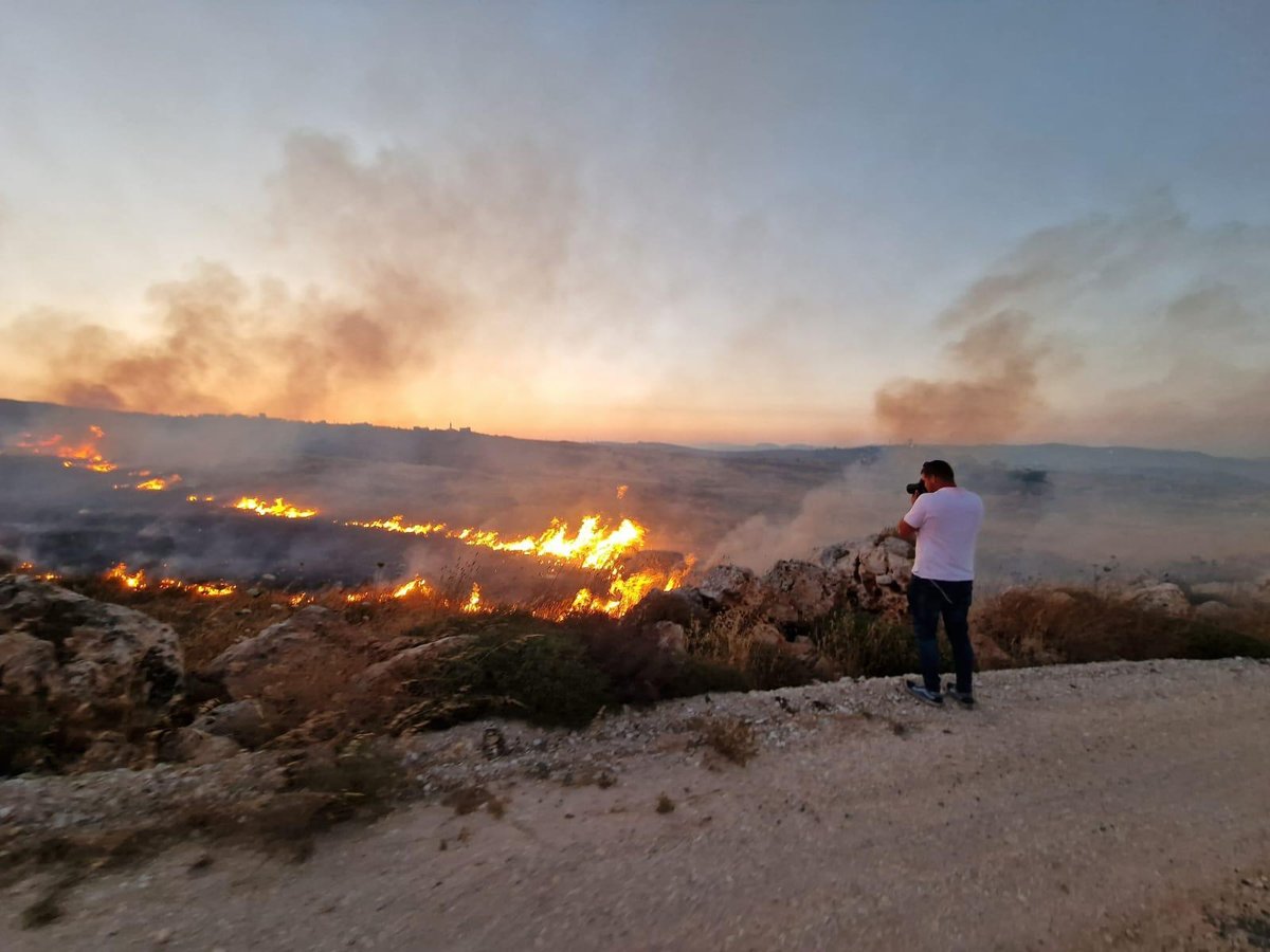 זופניק בכיכר • כל התמונות, הנייעס והחשיפות של השבוע