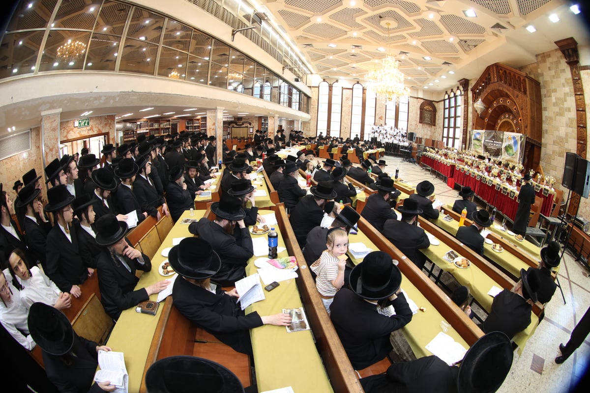 'חומש סעודה' בת"ת דושינסקיא בירושלים | תיעוד