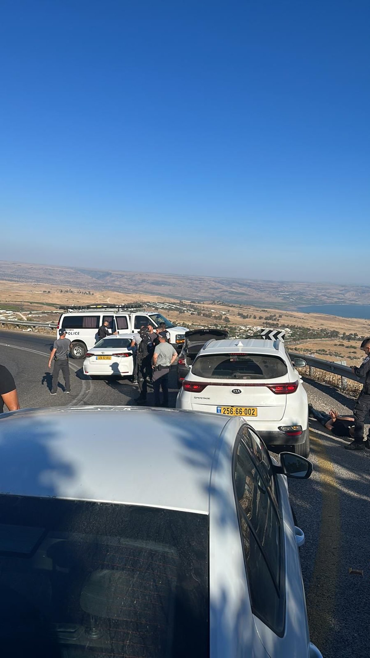 הצתת הסוסים בצפון:  חוליית המציתים נעצרה | תיעוד