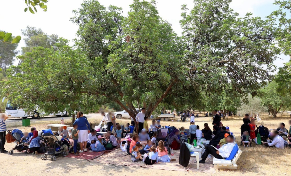 לקק"ל חשוב לחזק את החיבור וההיכרות של הציבור עם אתריה השונים ברחבי הארץ