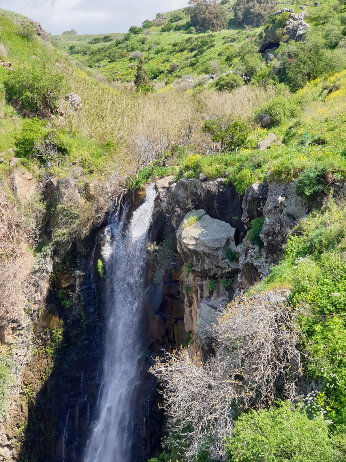 נחל ג'ילבון