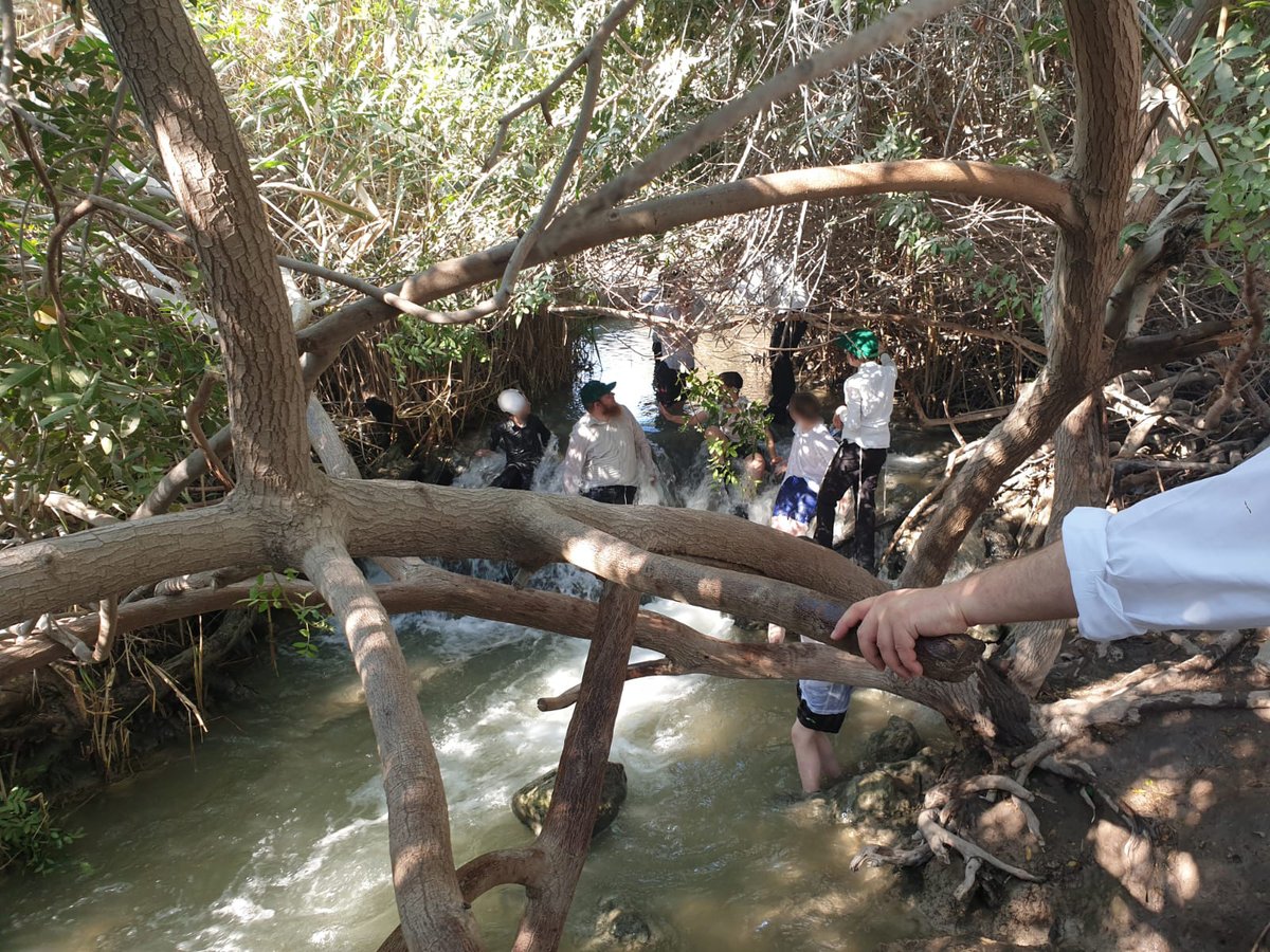 המפלים הלבנים