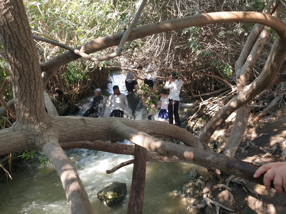 המפלים הלבנים