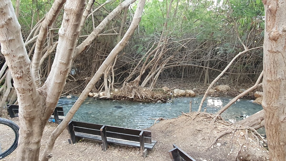 עין שוקק - השביל הרטוב