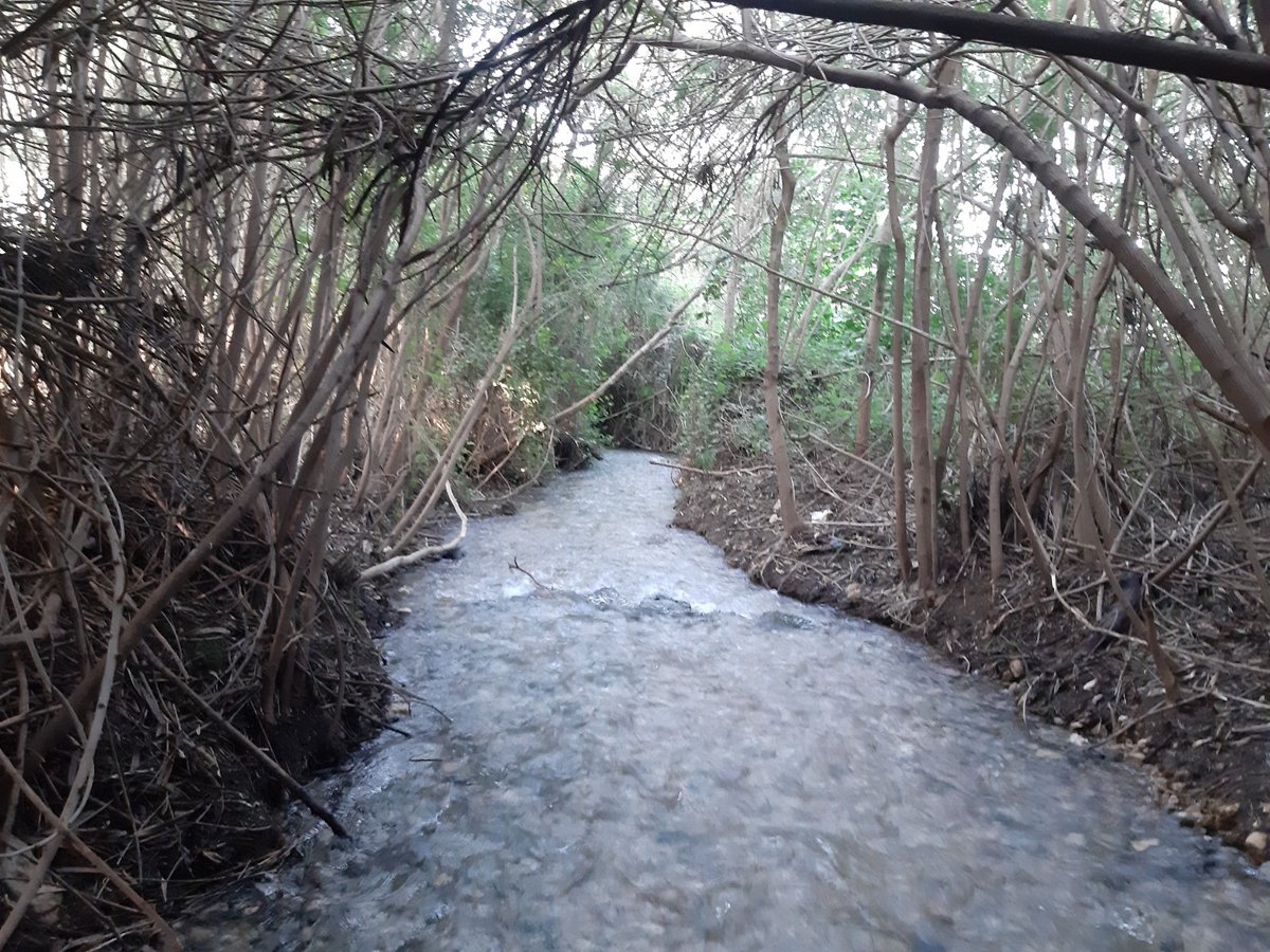 עין שוקק - השביל הרטוב