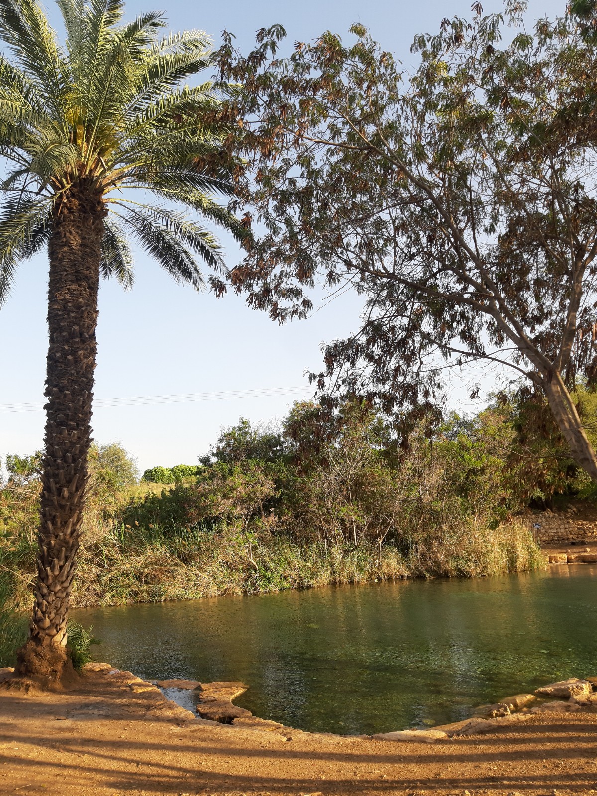 עין שוקק - השביל הרטוב