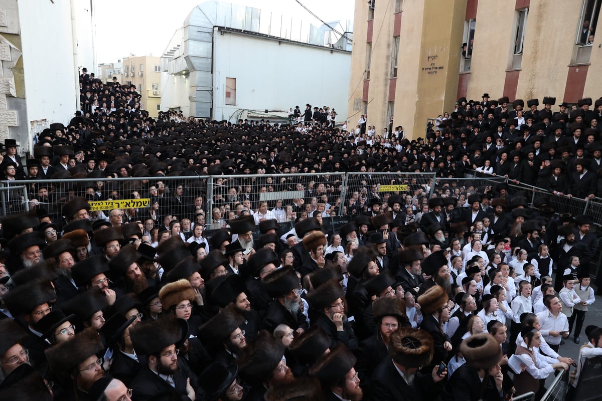 תיעוד ענק: אלפים בחתונת בן המשפיע רבי מיילך בידרמן