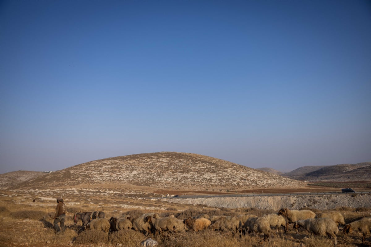 רועי צאן ליד רמת מגרון