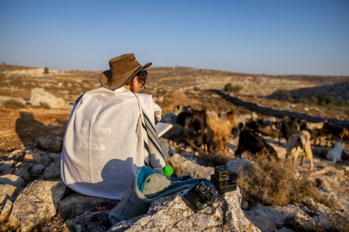 רועי צאן ליד רמת מגרון