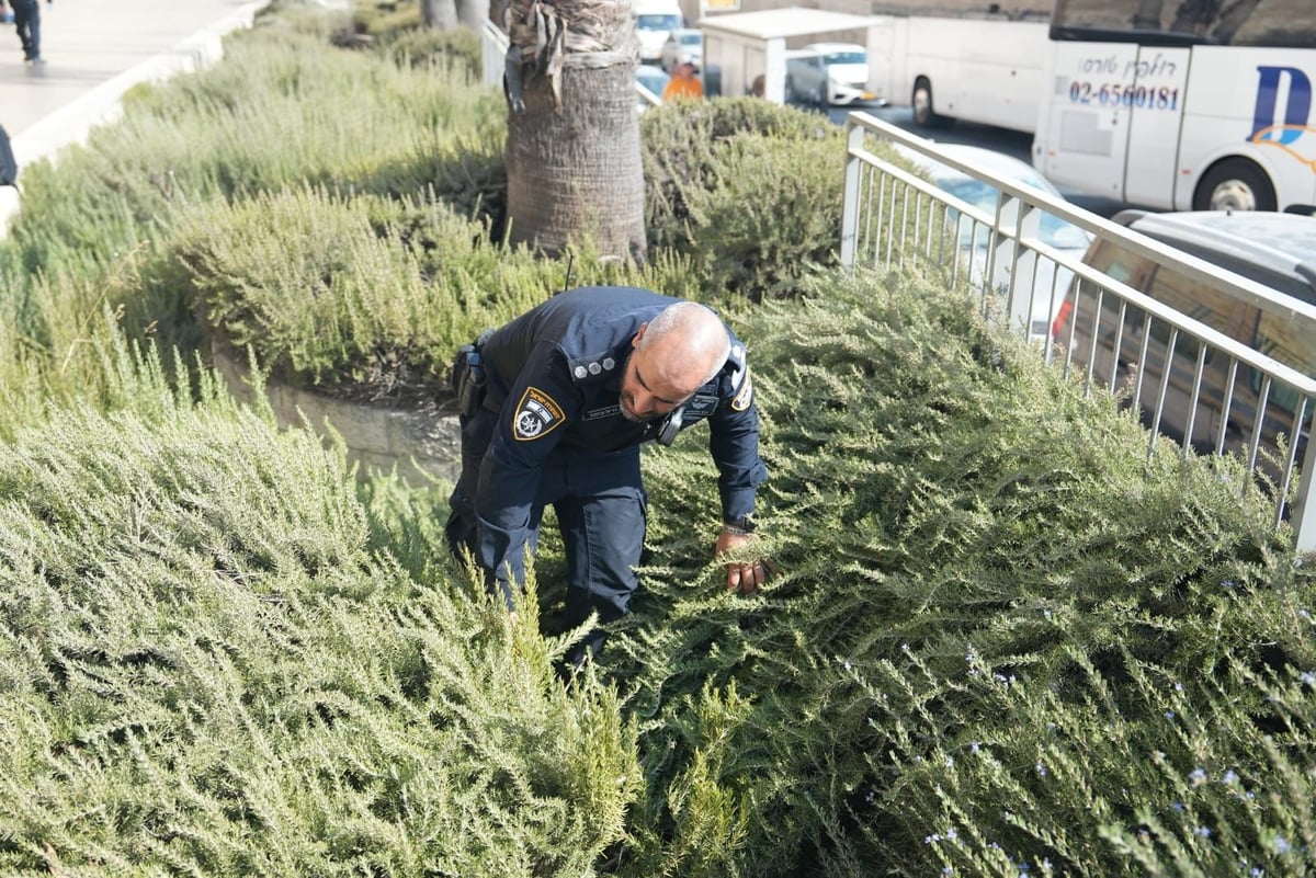 אסון גדול נמנע: זו הסכין הענקית עמה בוצע הפיגוע 