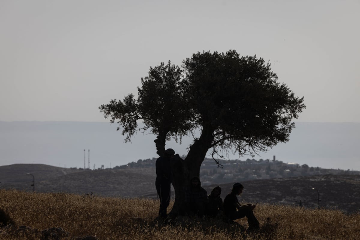 לא ייאמן: כך מתכוננים לקראת השבת ב'רמת מגרון' | תיעוד