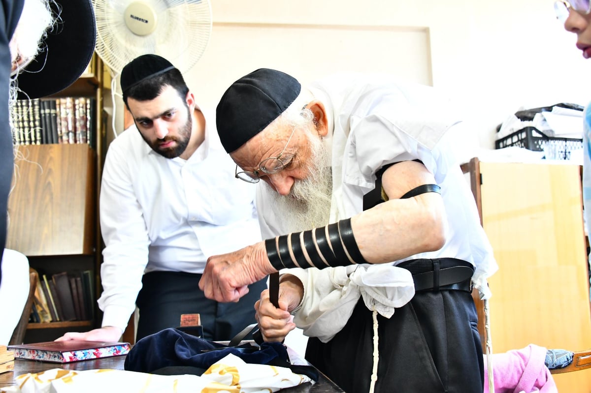 מרגש: הגר"מ גריינמן הניח את התפילין של החזו"א - ולא בירך