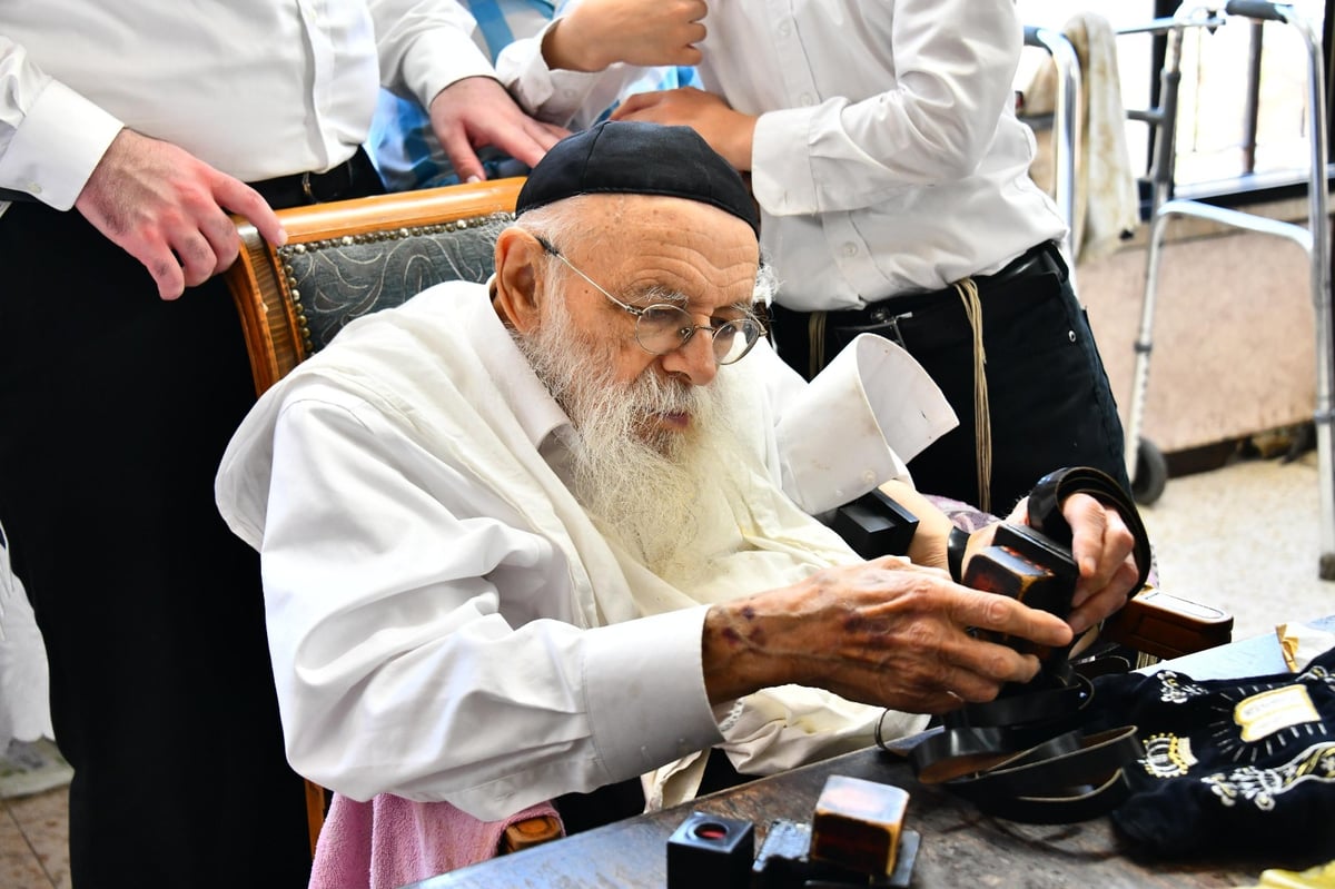 מרגש: הגר"מ גריינמן הניח את התפילין של החזו"א - ולא בירך