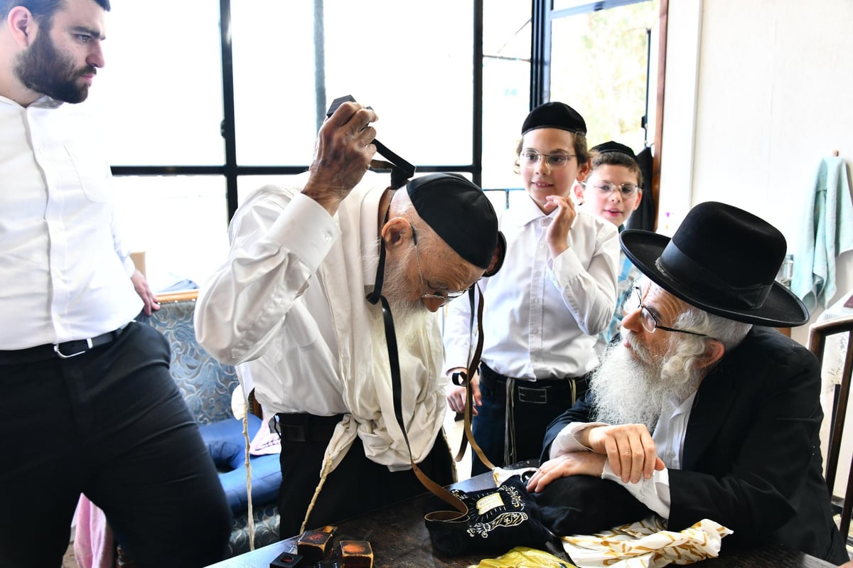 מרגש: הגר"מ גריינמן הניח את התפילין של החזו"א - ולא בירך