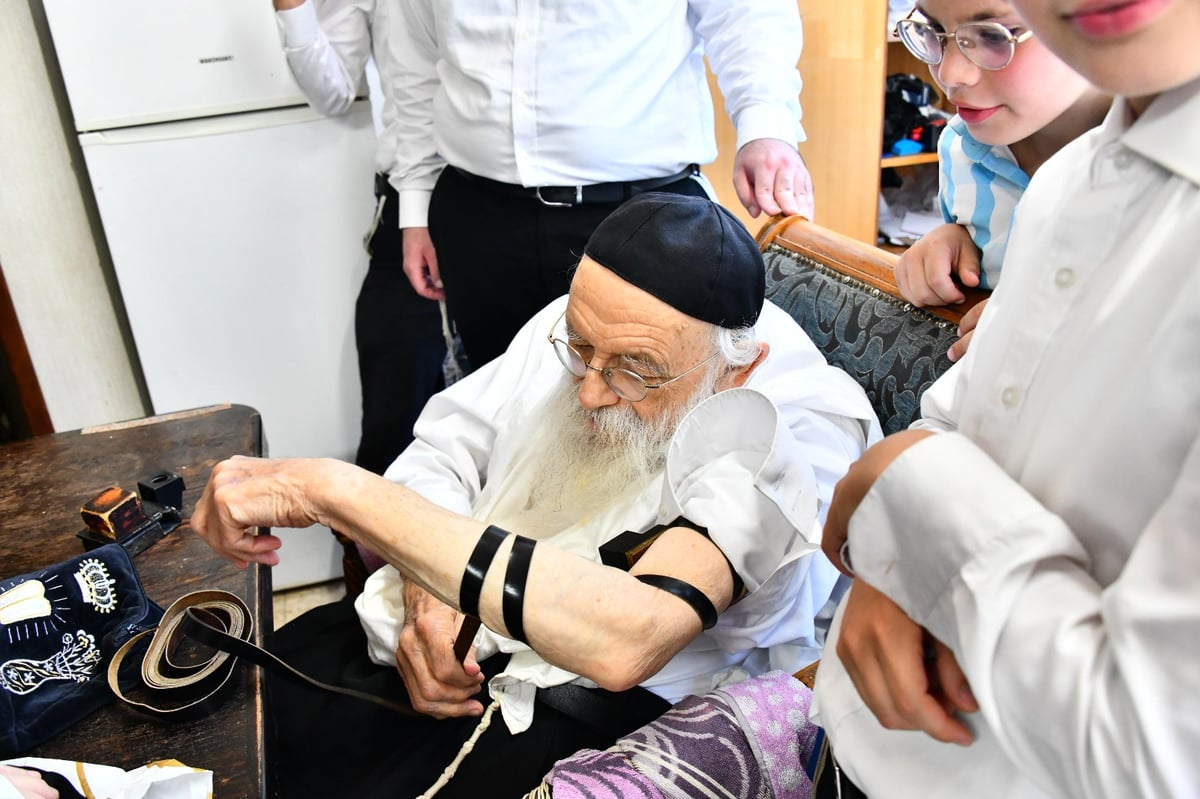 מרגש: הגר"מ גריינמן הניח את התפילין של החזו"א - ולא בירך