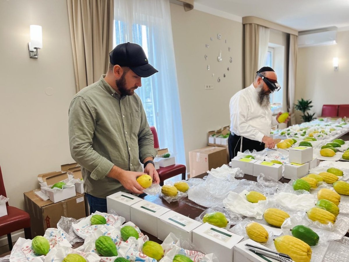 כך הביאו מסביב לעולם את ארבעת המינים לאוקראינה