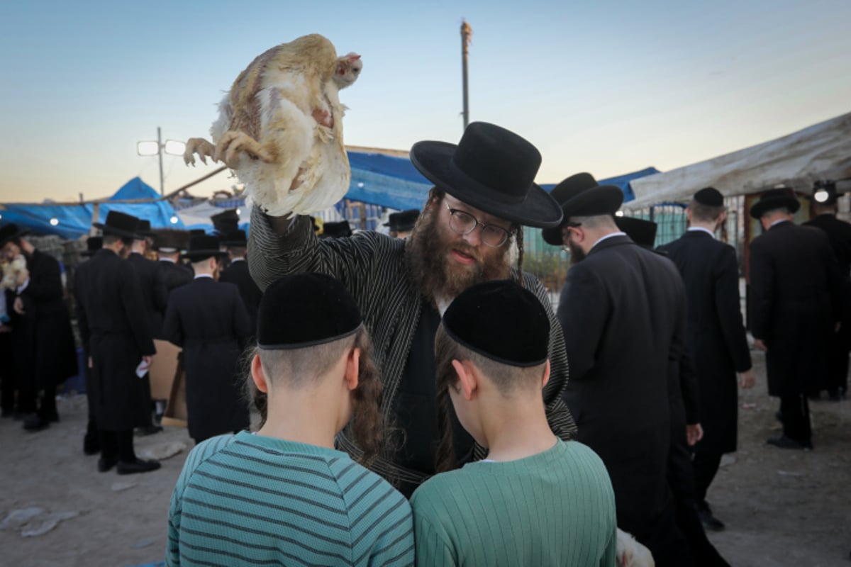 ערב יום כיפור: תושבי העיר בית שמש קיימו את מנהג הכפרות