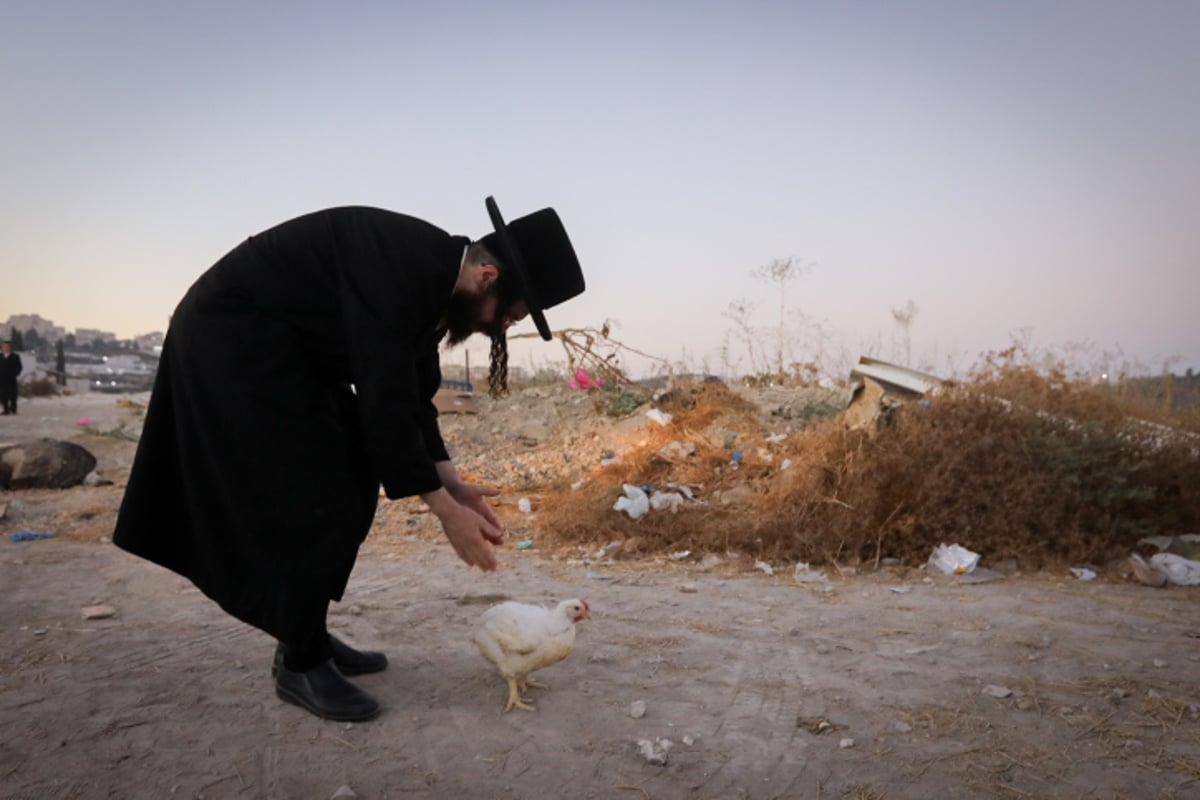 ערב יום כיפור: תושבי העיר בית שמש קיימו את מנהג הכפרות