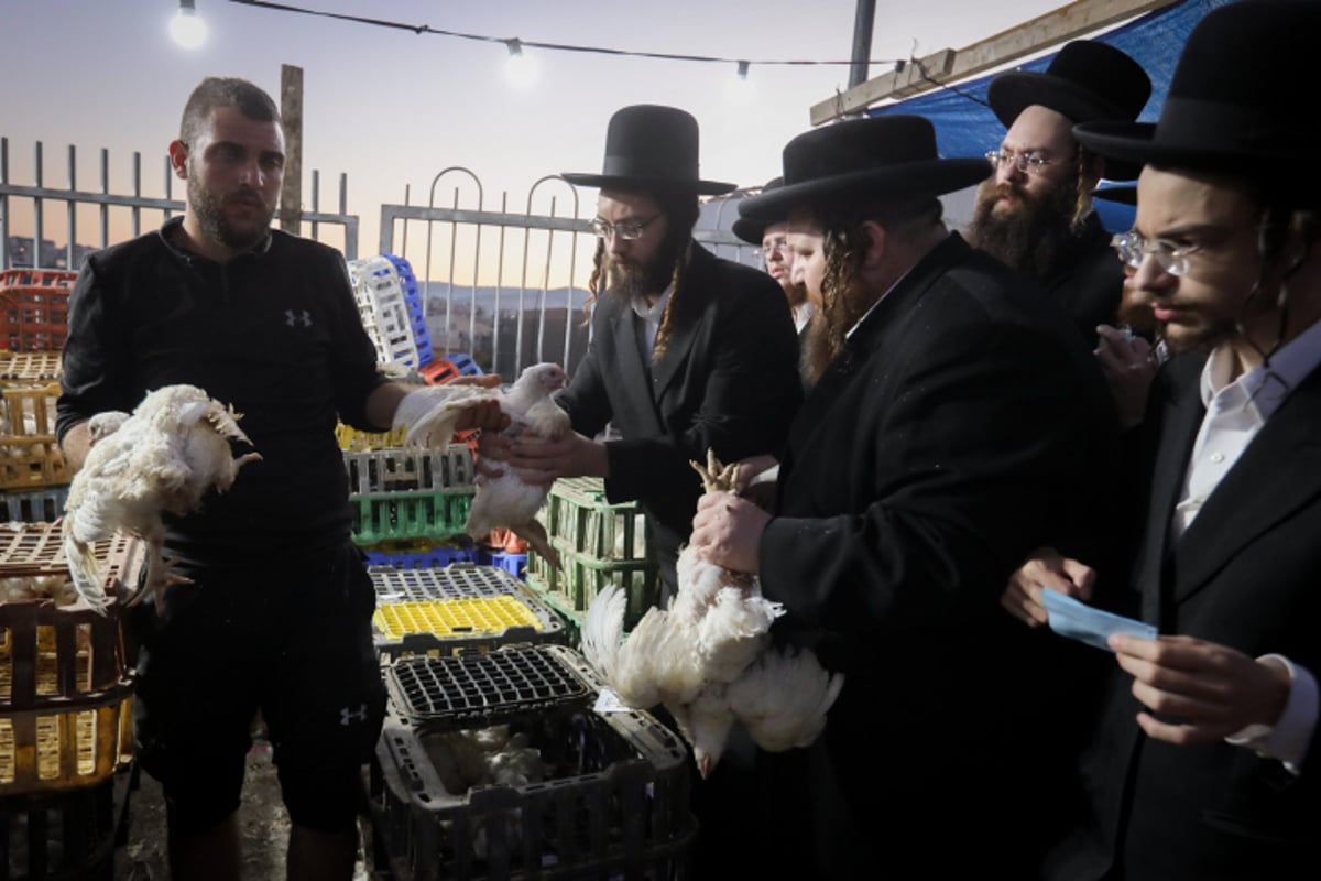 ערב יום כיפור: תושבי העיר בית שמש קיימו את מנהג הכפרות