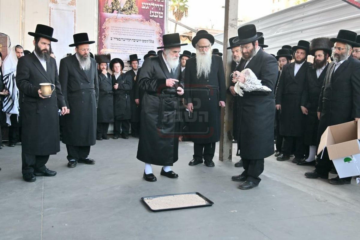 יום כיפור בחצר הקודש ויז'ניץ | תיעוד מסכם