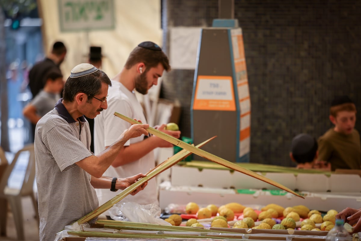 ערב חג הסוכות במאה שערים