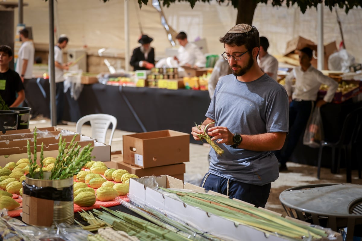 ערב חג הסוכות במאה שערים