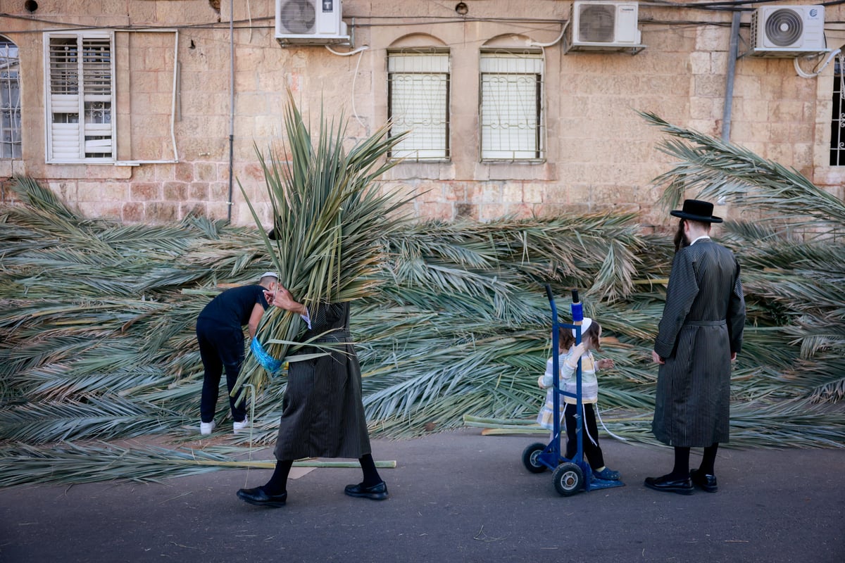 ערב חג הסוכות במאה שערים