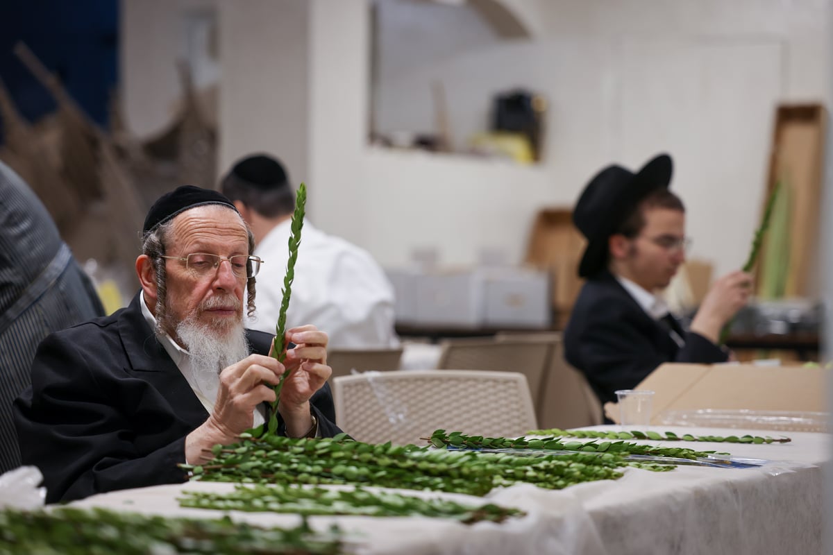 ערב חג הסוכות במאה שערים