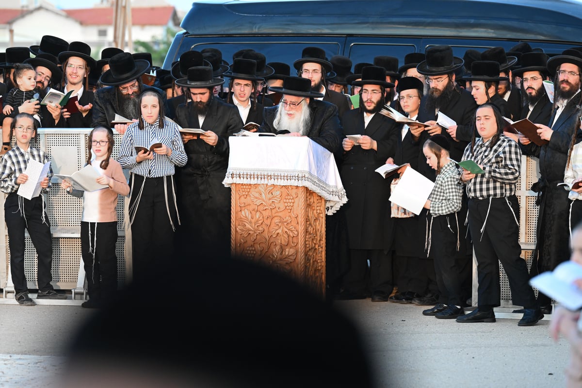 יום הכיפורים בחצר הקודש צאנז | תיעוד מסכם