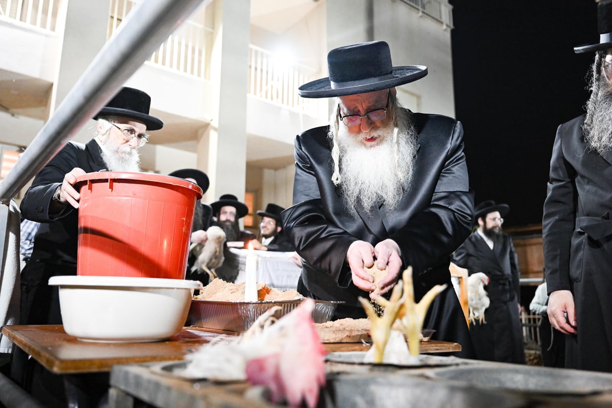 יום הכיפורים בחצר הקודש צאנז | תיעוד מסכם