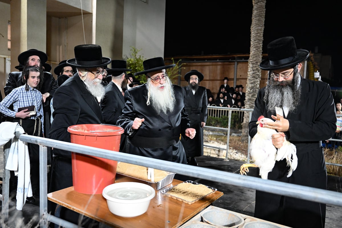 יום הכיפורים בחצר הקודש צאנז | תיעוד מסכם