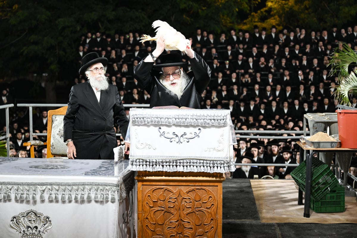 יום הכיפורים בחצר הקודש צאנז | תיעוד מסכם