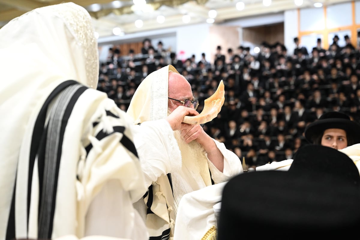 יום הכיפורים בחצר הקודש צאנז | תיעוד מסכם