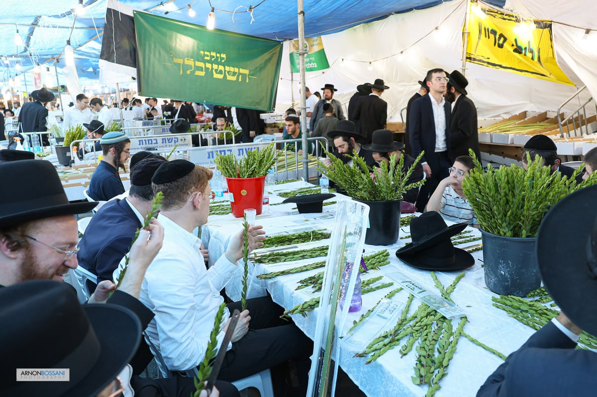 כל צבעי הקשת וחיבוב המצוות • ירושלים כפי שלא ראיתם מעולם