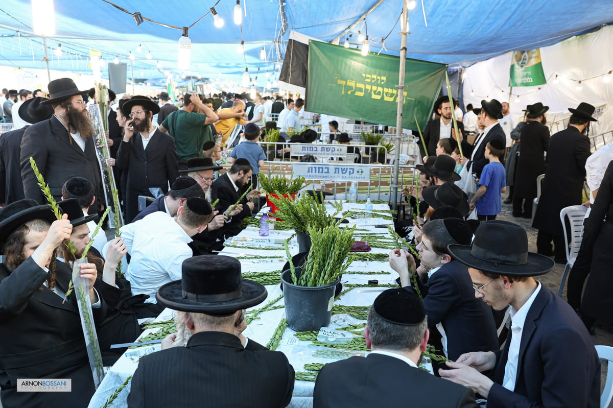 כל צבעי הקשת וחיבוב המצוות • ירושלים כפי שלא ראיתם מעולם