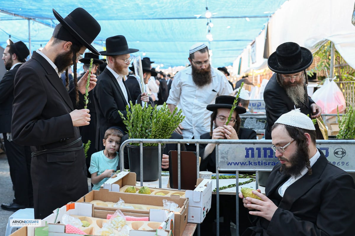 כל צבעי הקשת וחיבוב המצוות • ירושלים כפי שלא ראיתם מעולם